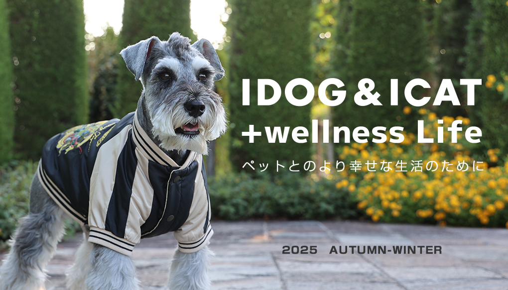 idogicat2025AW concept