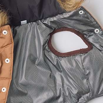 iDogコンセプト｜WARM REACT