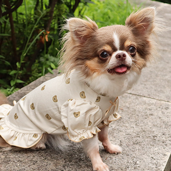 iDogコンセプト｜DANON