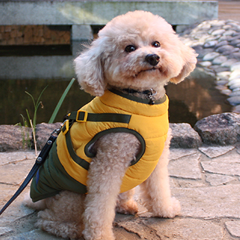 iDogコンセプト｜SHIELD COAT