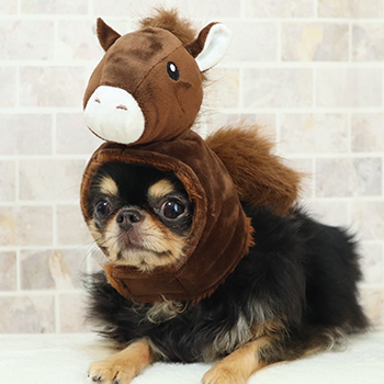 iDogウェアの工夫｜豊富なサイズ展開