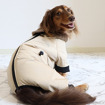 iDogウェアの工夫｜愛犬の身体にフィット