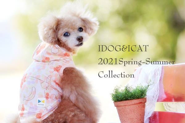 IDOG　ICAT　春夏新作　ドッグウェア