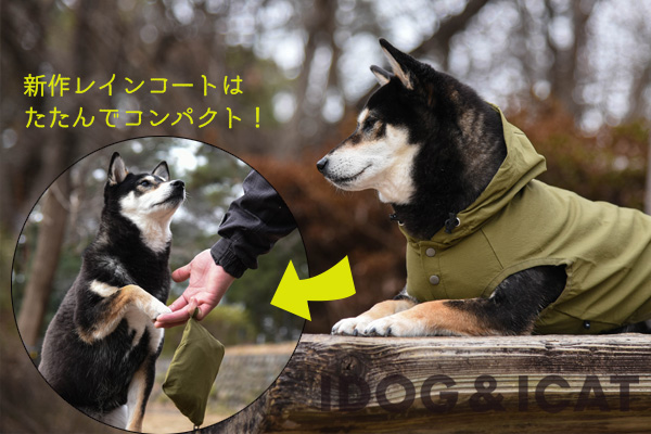 IDOG　ICAT　春夏新作　ドッグウェア