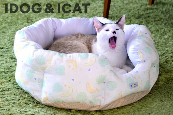 IDOG　ICAT 2021春夏新作ベッド