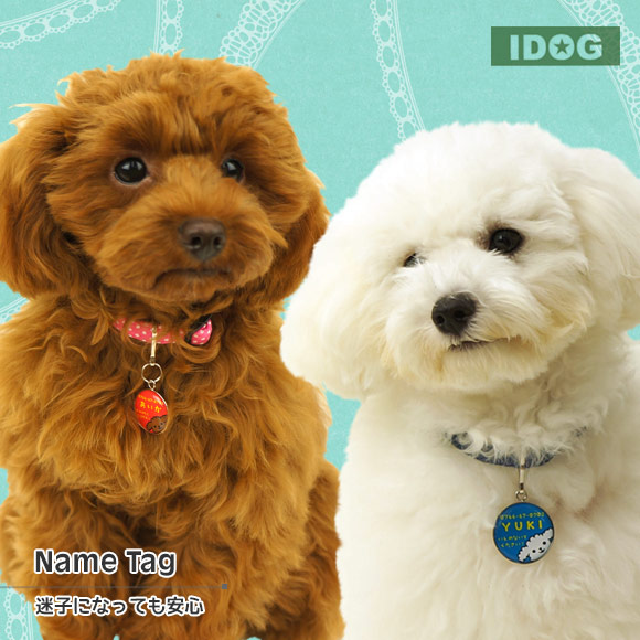 iDog＆iCat本店】iDog&iCatオリジナル ネームタグ 迷子札プードル-犬猫