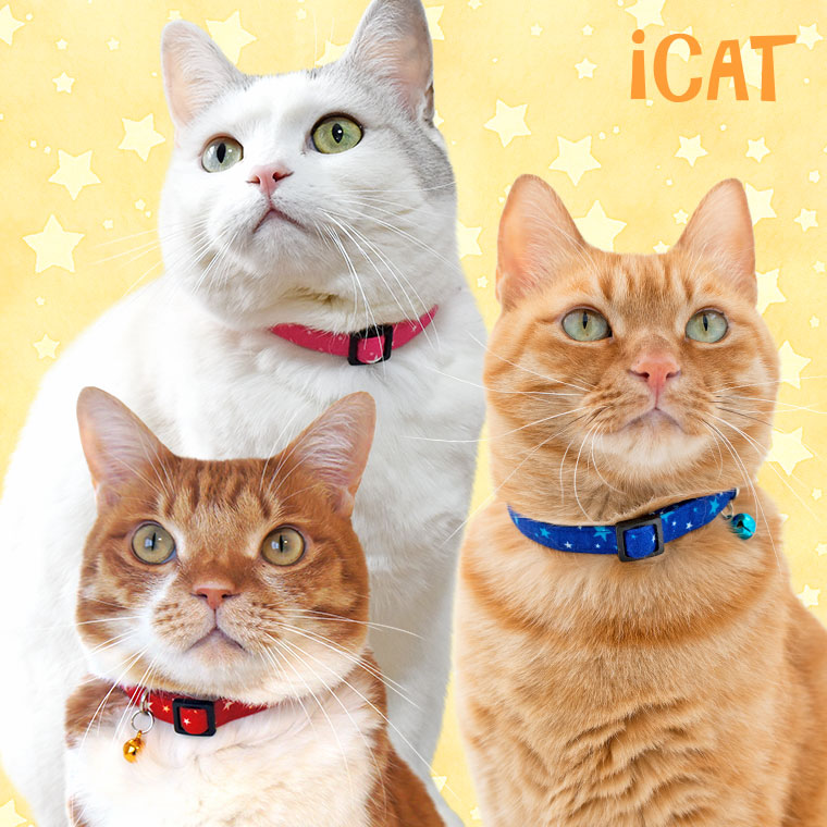 クリスマス、ファータイプ(赤⑥)わんちゃん猫ちゃん用襟つき首輪