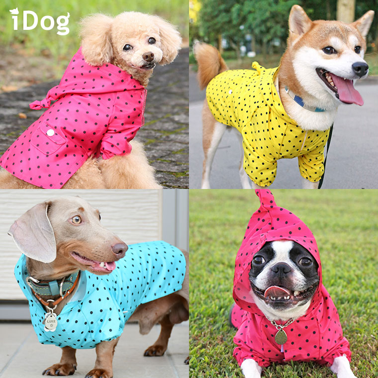 Idog Icat本店 Idog ドットレインコート アイドッグ メール便ok 犬猫ペット用品通販のidog Icat ペット 犬 服