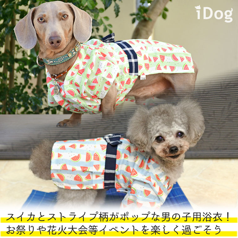 Idog Icat本店 Idog 男の子用浴衣 納涼すいか アイドッグ 犬猫ペット用品通販のidog Icat ペット 犬 服 Idog Icat本店 Idog 男の子用浴衣 納涼すいか アイドッグ 犬猫ペット用品通販のidog Icat ペット 犬 服