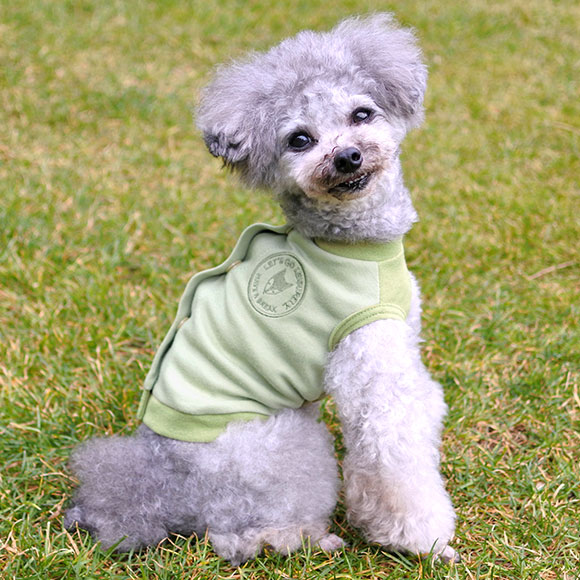 Idog Icat本店 Idog Moscape Cool25 後ろ開きタンク 防蚊 25 キープ アイドッグ 犬猫ペット用品通販のidog Icat 犬服による暑さ 虫よけ対策 Idog Icat本店 Idog Moscape Cool25 後ろ開きタンク 防蚊 25 キープ アイドッグ 犬猫ペット用品通販のidog Icat 犬服による暑さ 虫よけ対策