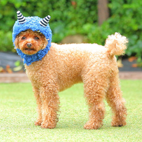 Idog Icat本店 Idog 鬼さんスヌード アイドッグ 犬猫ペット用品通販のidog Icat ペット 犬 服 Idog Icat本店 Idog 鬼さんスヌード アイドッグ 犬猫ペット用品通販のidog Icat ペット 犬 服