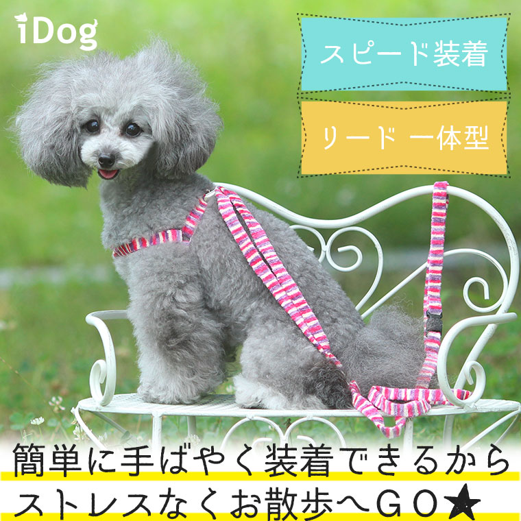 犬 ハーネス iDog ワンタッチハーネス カラフルストライプ 犬のハーネス