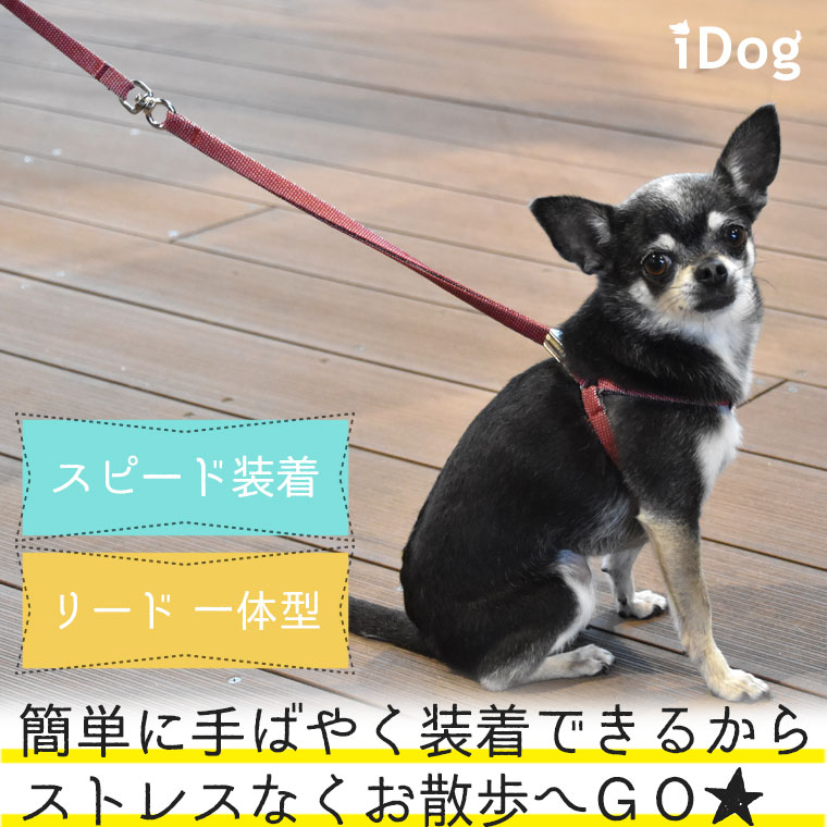 犬 ハーネス iDog ワンタッチハーネス カラフルストライプ 犬のハーネス