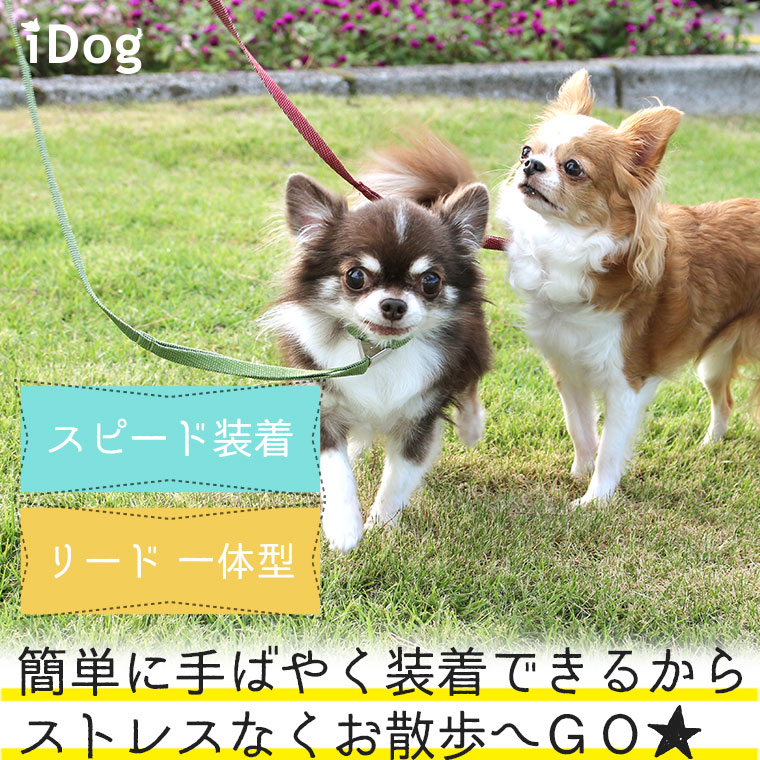 犬 首輪 リード iDog ワンタッチリード 反射織紐 アイドッグ 犬の首輪 犬のリード