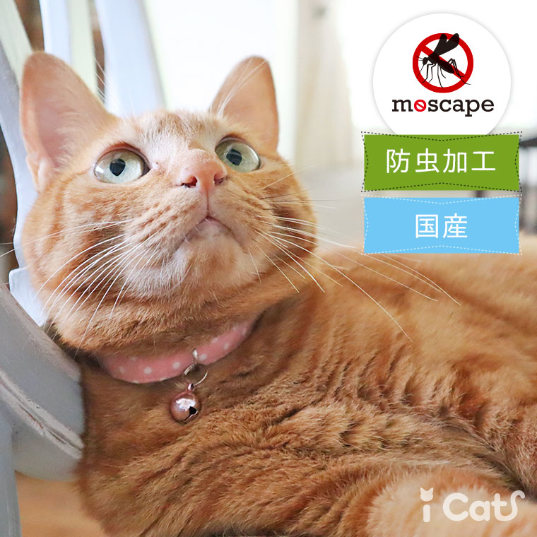 iCat moscape カジュアルカラー ドット 防虫