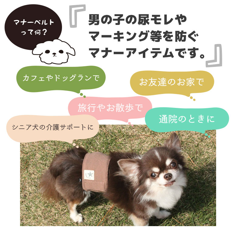 Idog マナーバンド ワッフル ボーダー アイドッグ 犬猫ペット用品通販のidog Icat ペット 犬 服