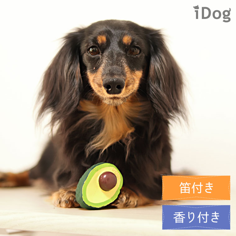 iDog TOY ラテックスTOY アボカド-犬猫ペット用品通販のIDOG&ICAT