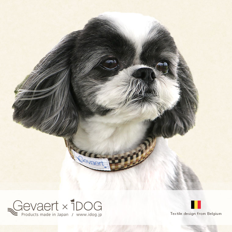 犬 首輪 カラーレザー 本革 Gevaert×iDog 犬用首輪 モザイク アイドッグ 犬の首輪  犬のカラー