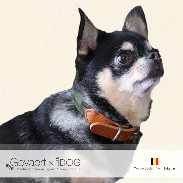 犬 首輪 カラーレザー 本革 Gevaert×iDog 犬用首輪 カモフラ アイドッグ 犬の首輪  犬のカラー
