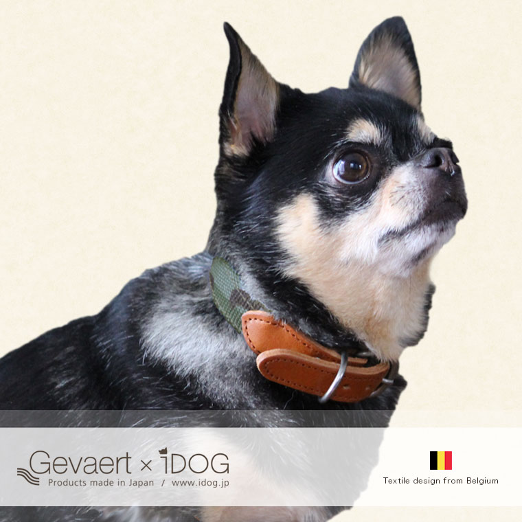 犬 首輪 カラーレザー 本革 Gevaert×iDog 犬用首輪 カモフラ アイドッグ 犬の首輪 犬のカラー