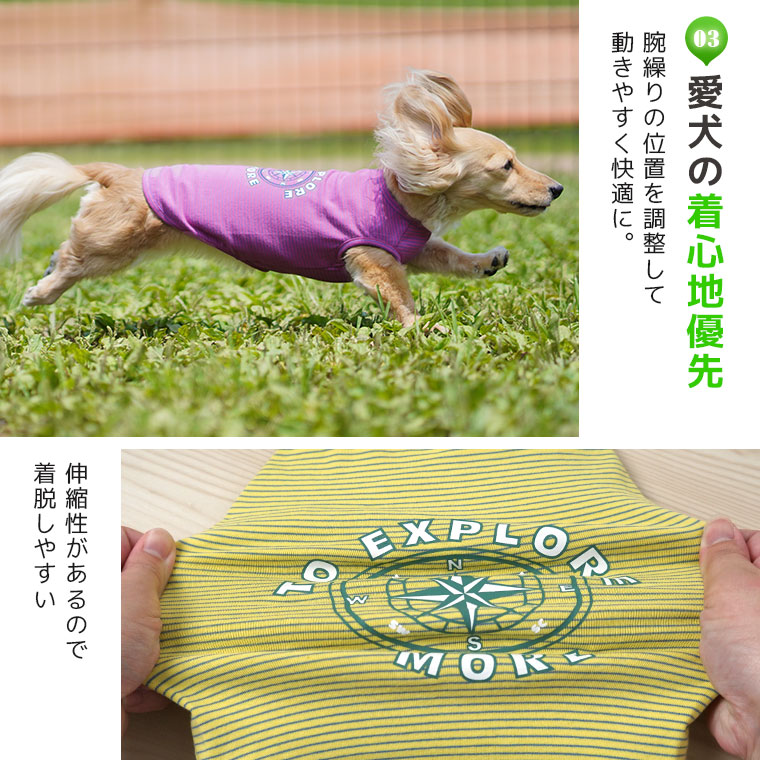 MOSCAPE&COOLChill お試し福袋 2枚入り オリジナルバッグ付き犬猫 