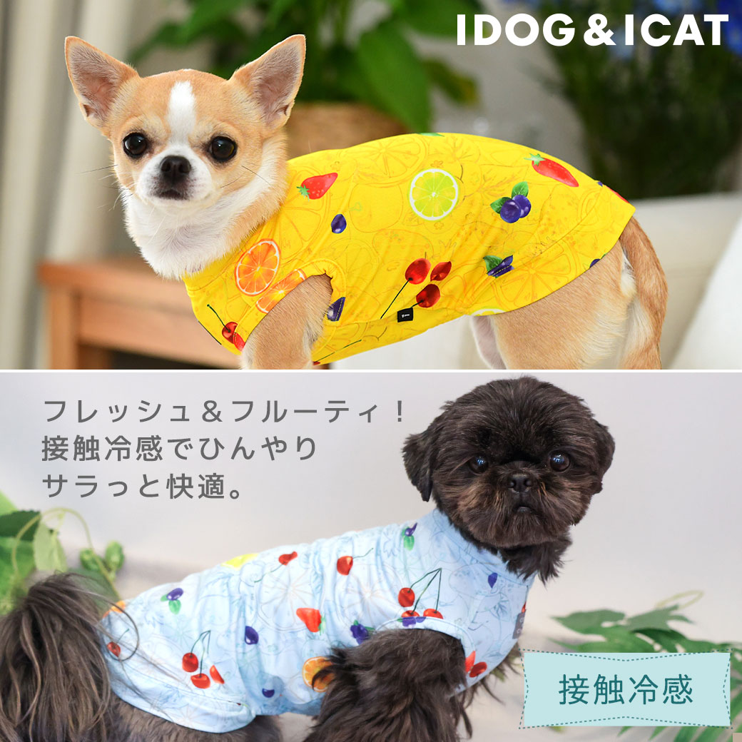 iDog COOL Chill フルーツタンク 接触冷感 -犬猫ペット用品通販 IDOGICAT| 接触冷感・消臭抗菌・UV