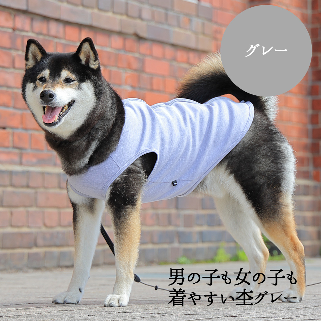 iDog UNAGE