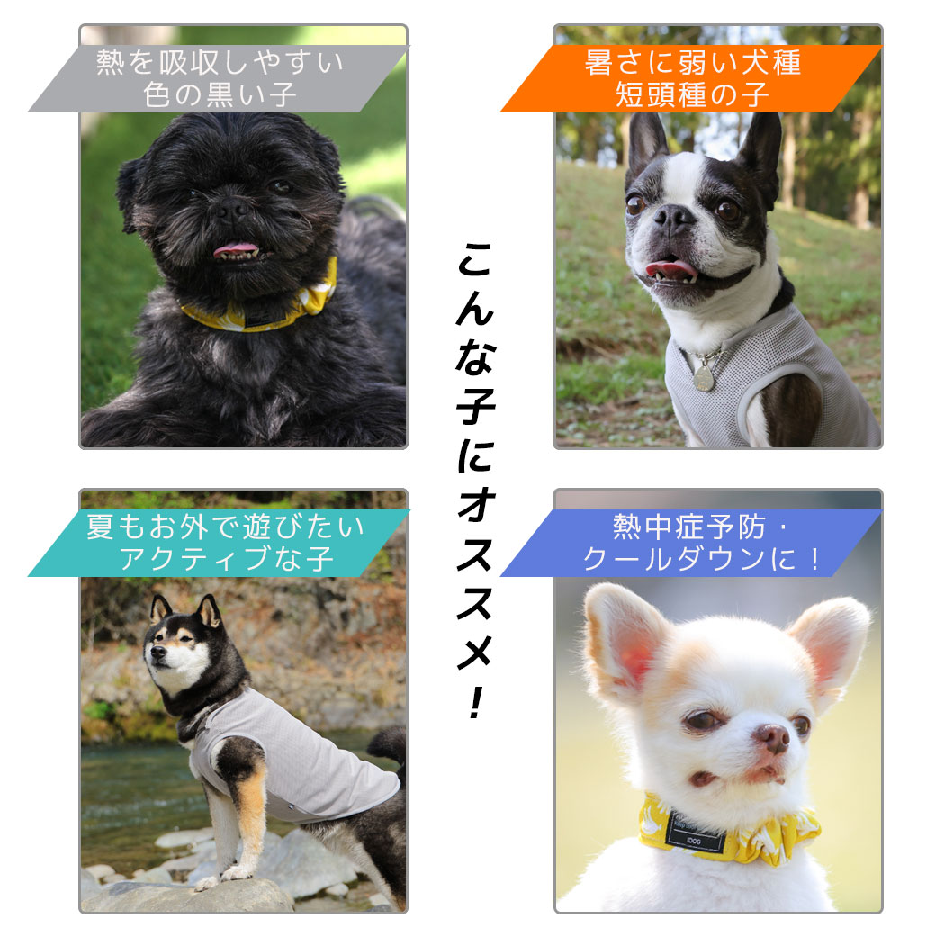 Idog Aqua Hold ひんやりシュシュ Idog Icat ひんやり 水冷空冷