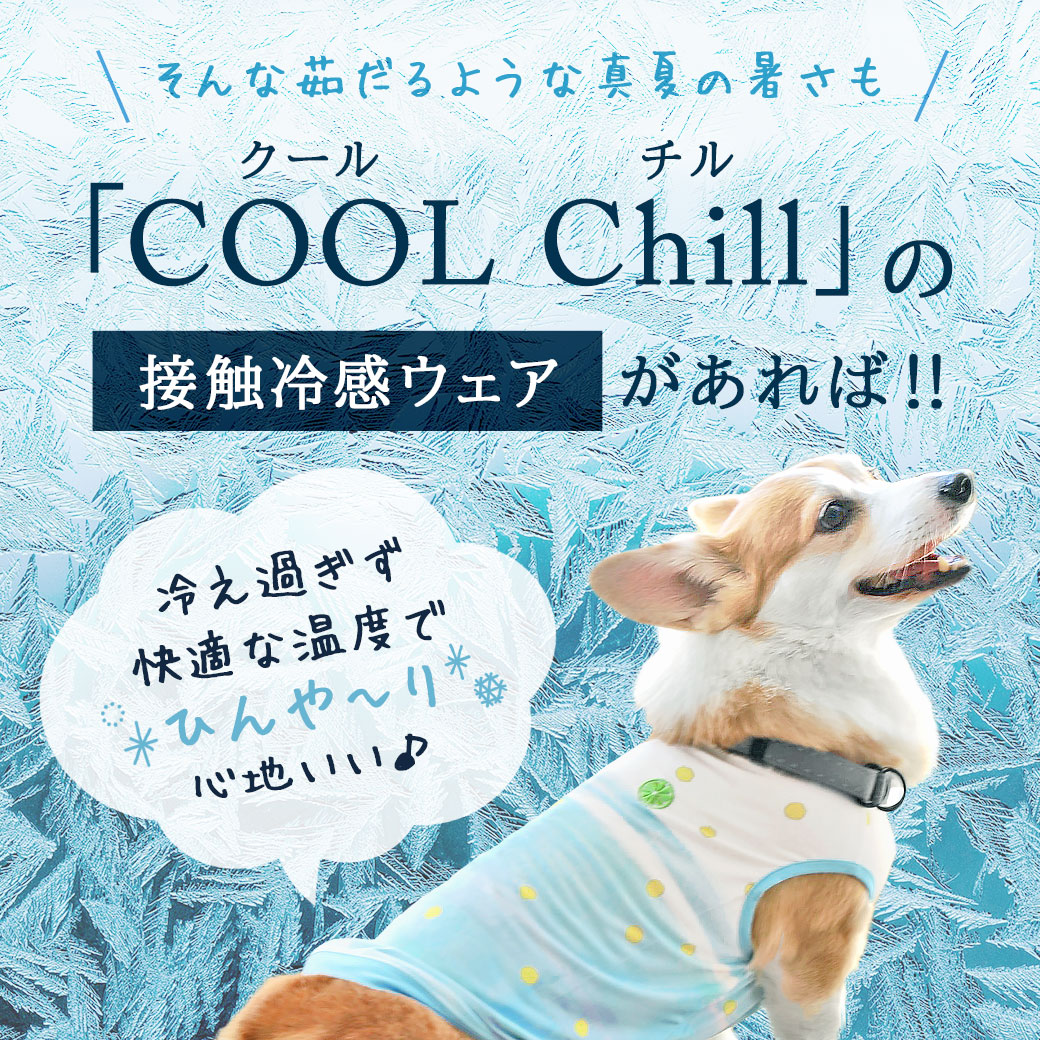 何でも揃う iDog COOL Chill にじみグラデーションタンク 接触冷感 アイドッグ DS レッドブルー 犬 服