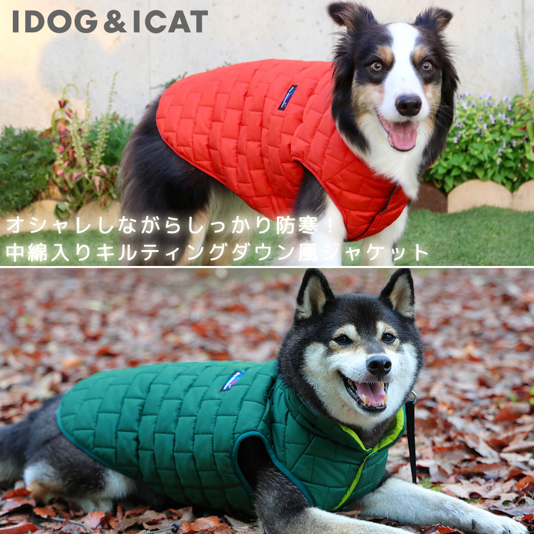 犬服 M わんこの普段着 たんぽぽ 寂しく