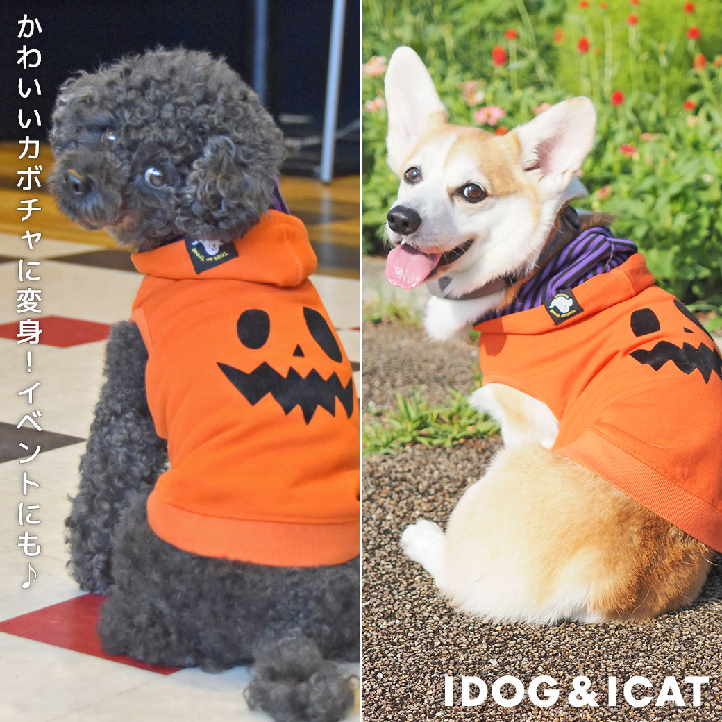 iDog ジャック・オ・ランタンパーカー-犬猫ペット用品通販 IDOG&ICAT 