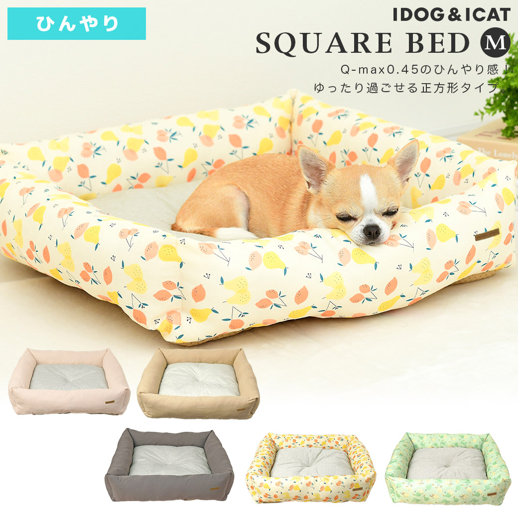 犬 猫 ベッド IDOG&ICAT ひんやりスクエアベッド Mサイズ COOL アイドッグ ベッド ソファ カドラー