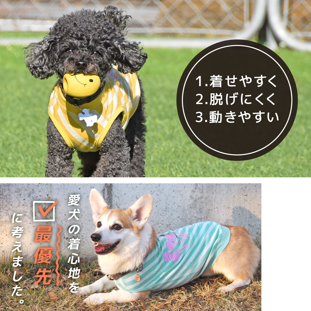 犬 ハーネス リード セット ボーダー メッシュ 通気性 お出かけ 散歩 胴輪 かわいい 人気 小型犬 セール 春 夏 秋 冬 肌に優しい DogPose ドッグポーズ 正規品 WSISTERS ダブルシスターズ ダブシス 