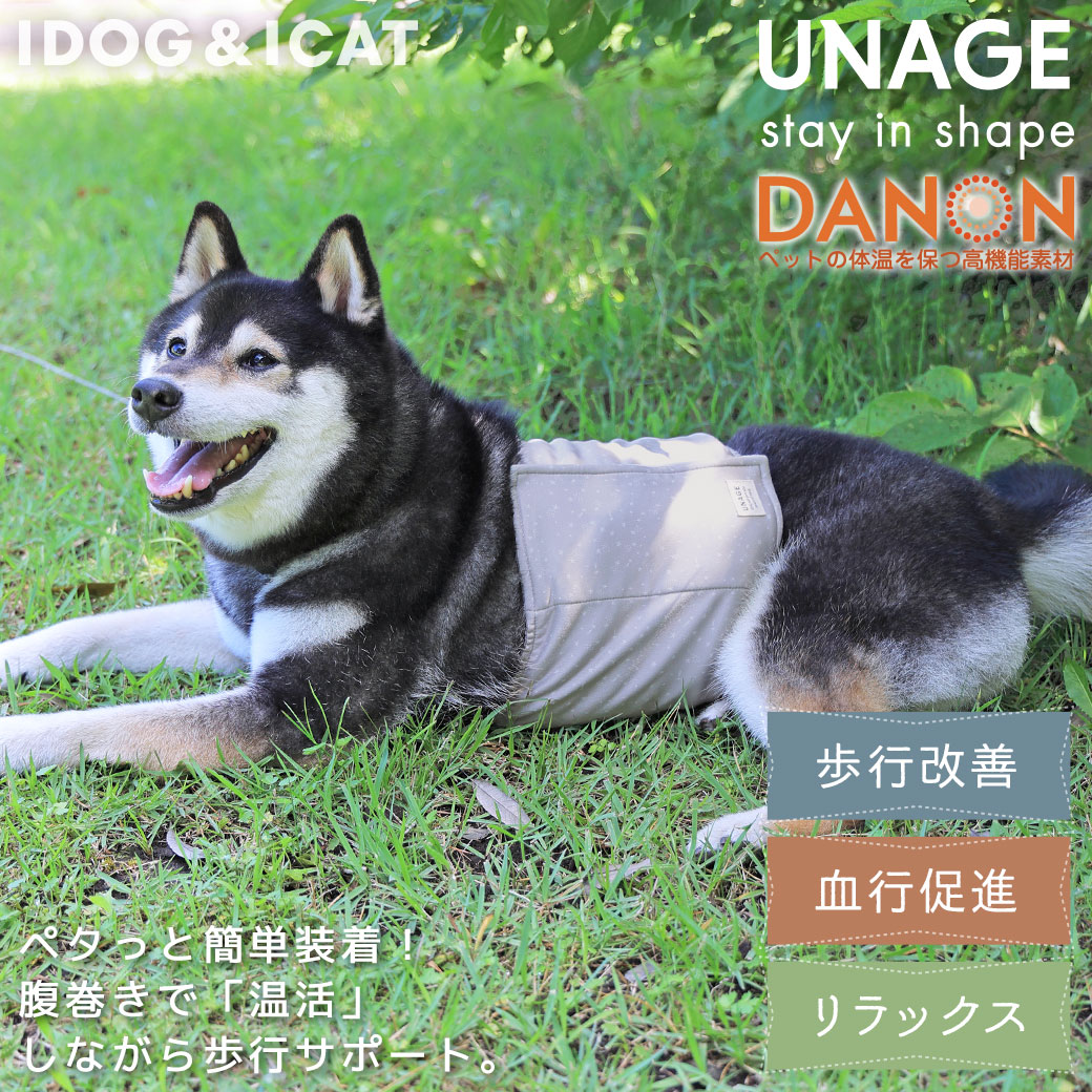 iDog UNAGE 中大型犬用 ウェルネスウェア AIRPUFF Light 後開きタンク アイドッグ メール便OK