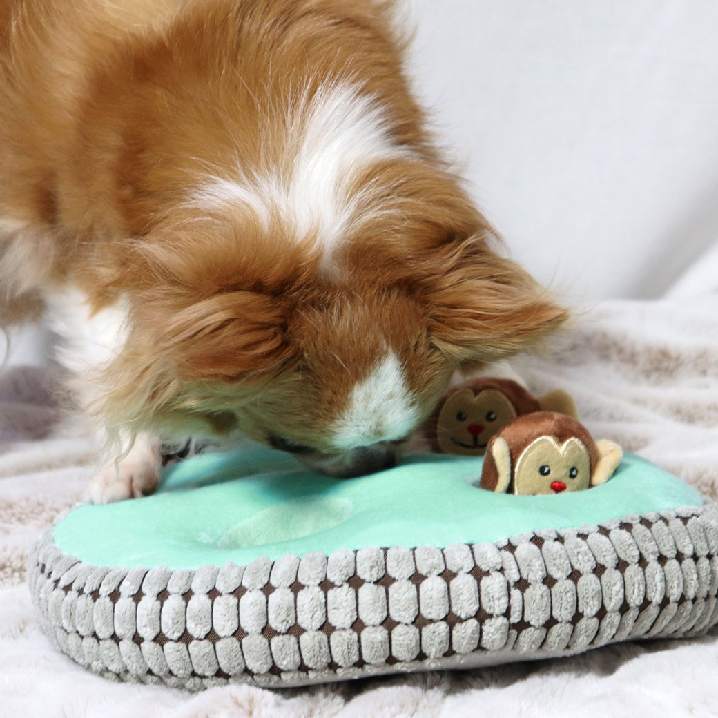 iDog 知育おもちゃ 温泉おさる-犬猫ペット用品通販 IDOGICAT|ペット 犬 おもちゃ