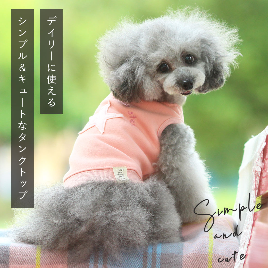 犬服 SS わんこの普段着 裏起毛にトイプー（トイプードル 服の