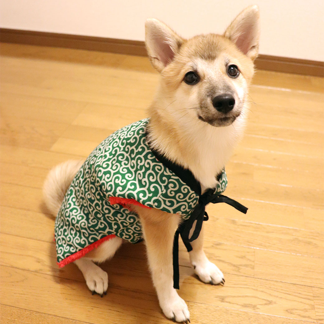 iDog 愛犬用ちゃんちゃんこ アイドッグ-犬猫ペット用品通販 IDOGICAT|ペット 犬 洋服