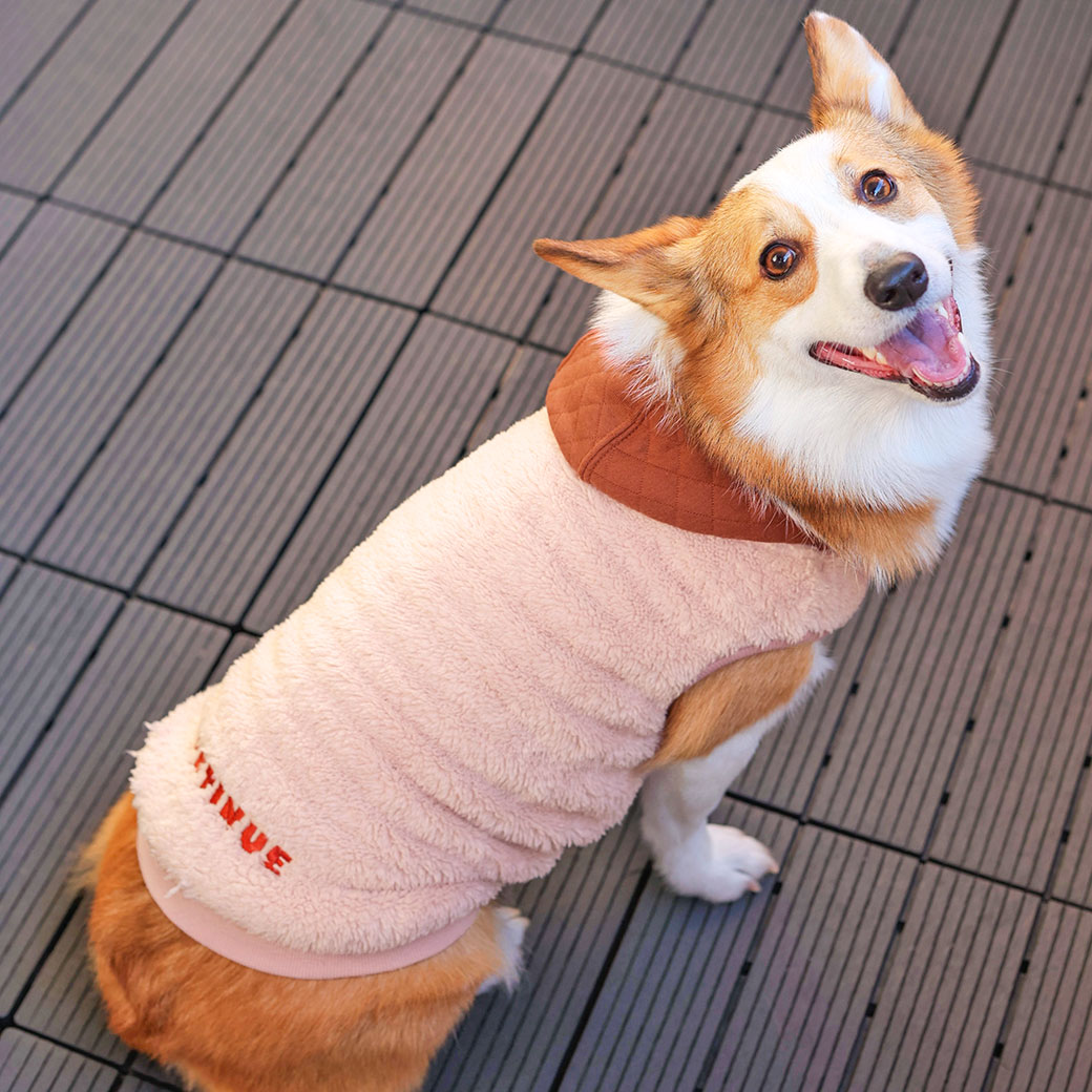 送料無料カード決済可能 Gevaert×iDog アイドッグ メール便OK