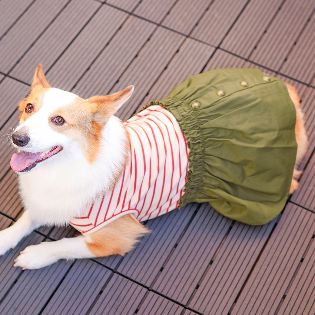 iDog ボーダーフリース切替ワンピ アイドッグ-犬猫ペット用品通販 IDOGICAT|ペット 犬 洋服