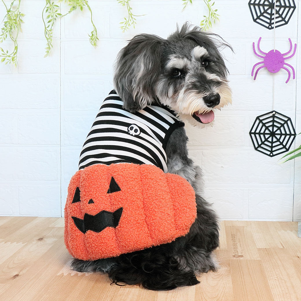 iDog パンプキンワンピ アイドッグ-犬猫ペット用品通販 IDOG&ICAT  