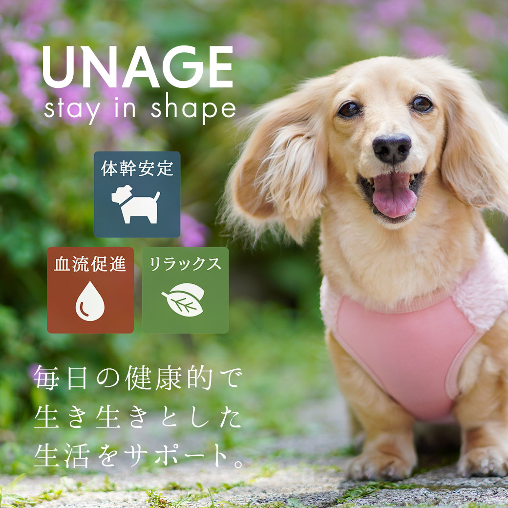 ウェルネスウェア シニア・介護