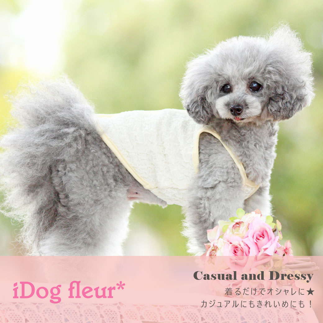 犬 服 iDog 後開きくしゅくしゅキャミソール iDog fleur アイドッグ 犬の服 犬服