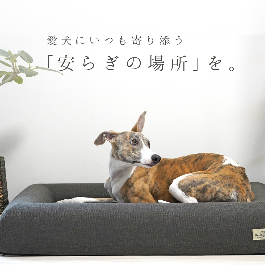 犬 猫 ベッド IDOG&ICAT レストキューブベッド Lサイズ アイドッグ ベッド クッション マット ソファ カドラー