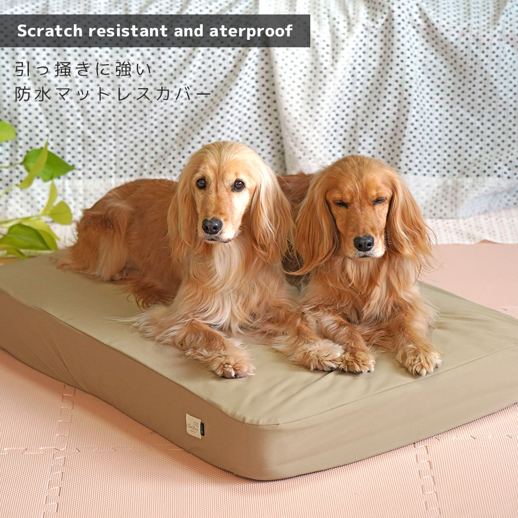 シーツ IDOG&ICAT TOGHTEX マットレス専用 防水ワンタッチボックスシーツ アイドッグ 