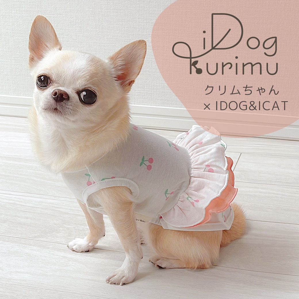 犬 服 iDog iDog×Kurimu チェリーフリルタンク アイドッグ 犬の服 犬服