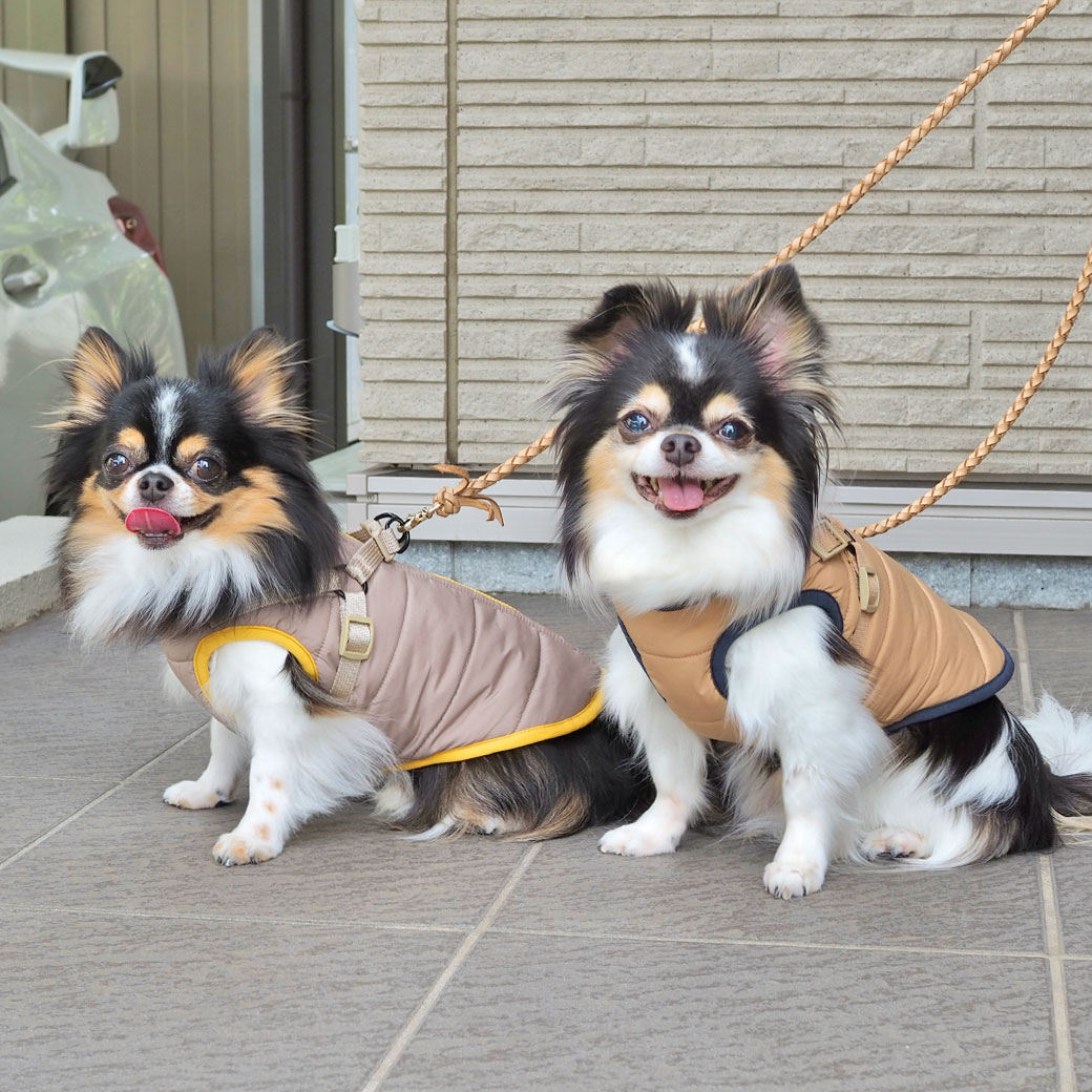 Sicggu 韓国　犬服 フード付き ハーネスコート Sicggu 韓国犬服 フード付き ハーネスコート