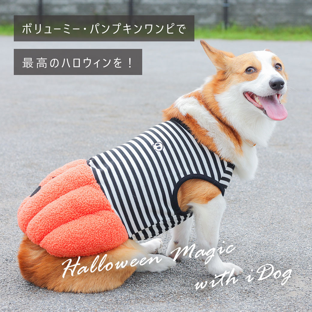わんちゃんと一緒にコスプレでハロウィンを楽しもう‼️ | 犬服