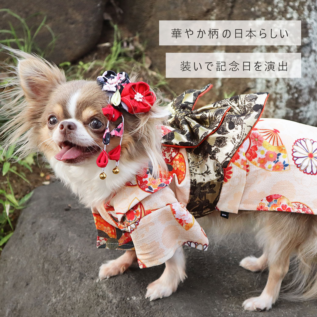 着物 晴れ着