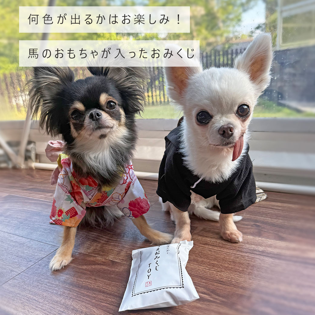 犬 おもちゃ iDog うまおみくじ アイドッグ 布製 ぬいぐるみ 犬のおもちゃ