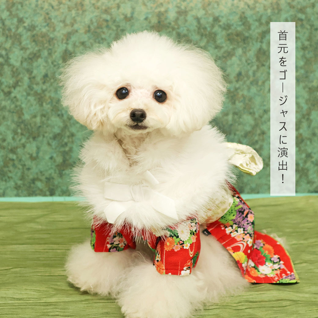 着物 晴れ着 お祝い 犬 服 iDog ふわふわファーショール アイドッグ 犬の服 犬服